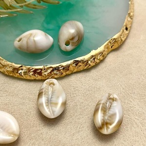 【2個】アクリルタカラガイシェルチャーム/スペーサ ー/CCB/貝