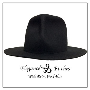 Wide Brim Wool Hat (20% OFF!!)