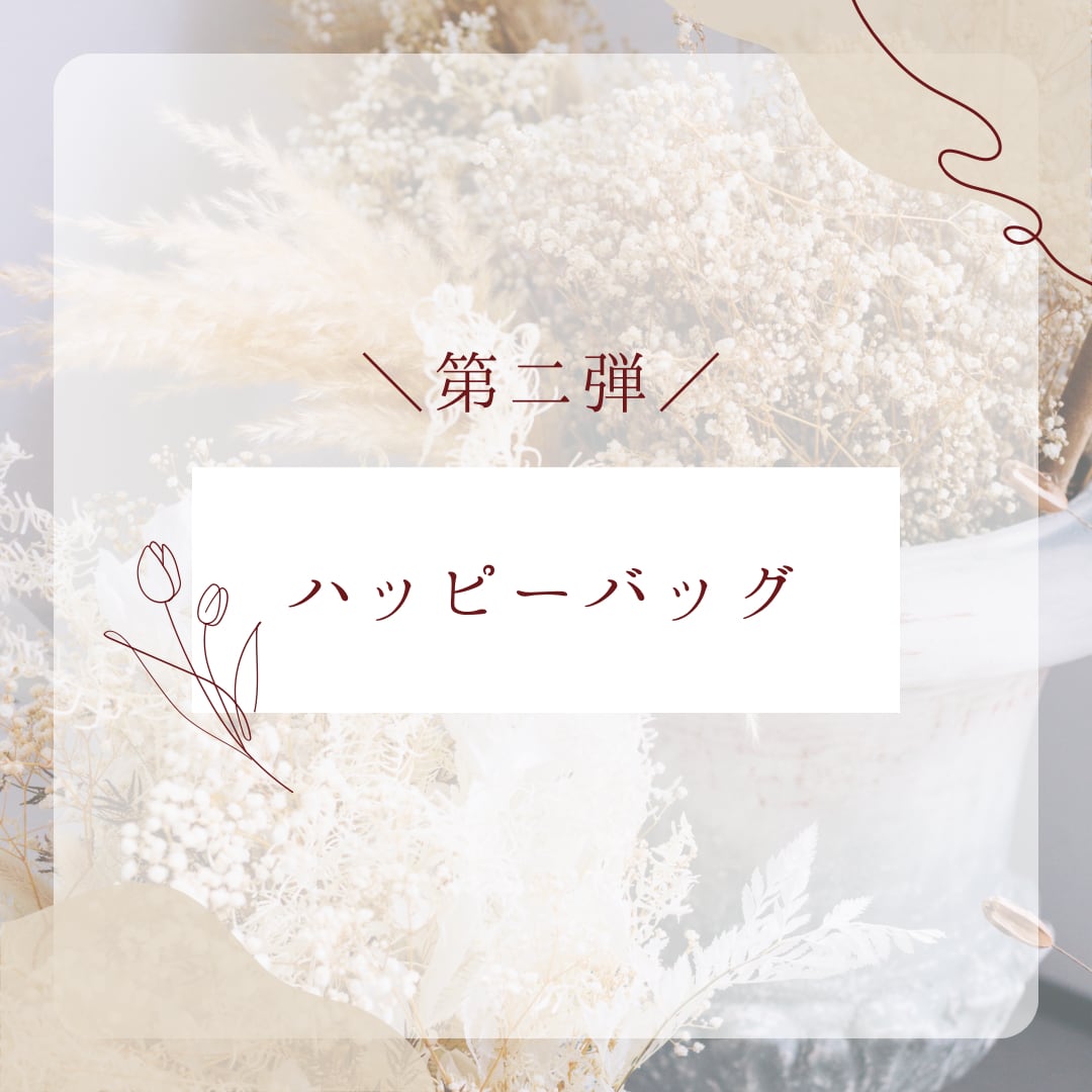ハッピーバッグ-第二弾-