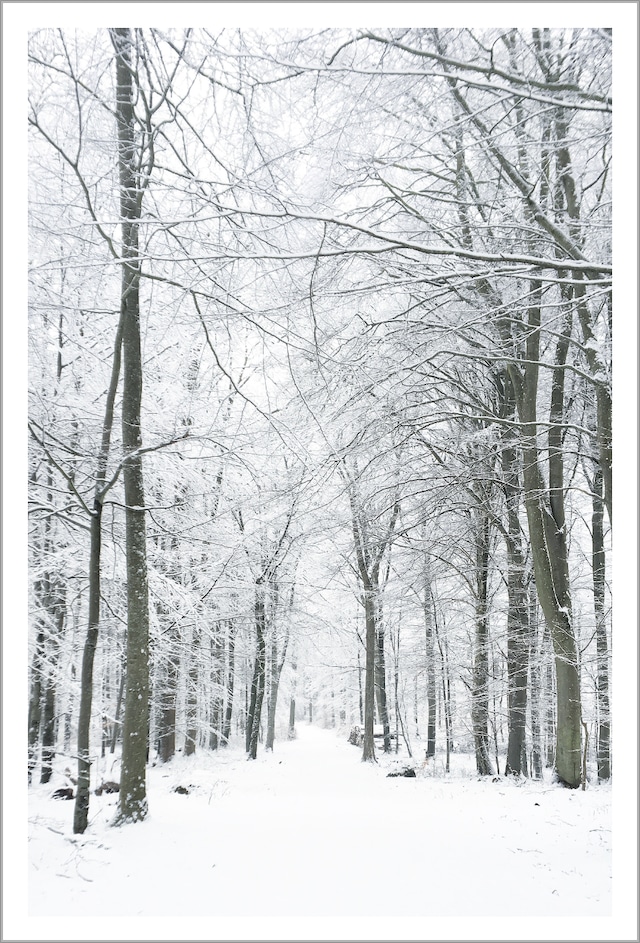 Kalø（カルー）の冬 ｜ デンマークの風景ポストカード