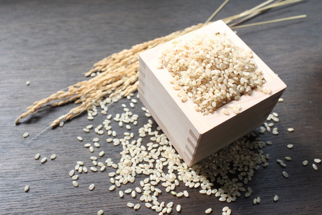 新米【令和6年産】玄米30㎏ 特別栽培米コシヒカリ | さとう農場 