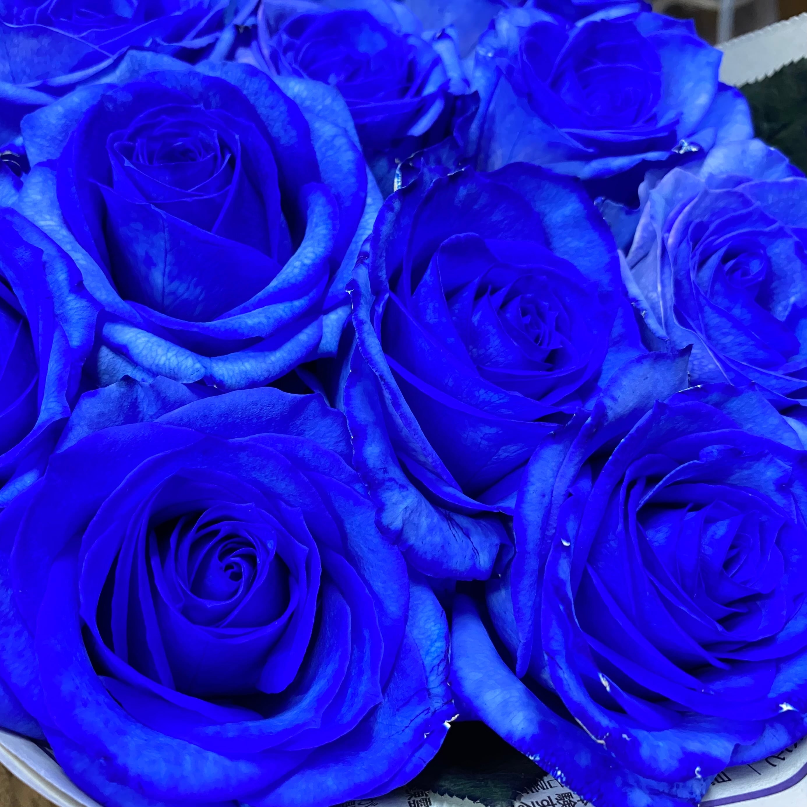 ティファニーブルーの花束 薔薇20本使用 | PAY ID