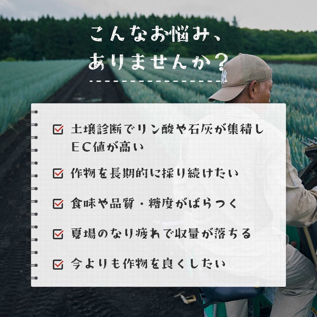 【お得】ラプラス - LaPlaS - お得セット5L　送料無料