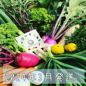 【常温便】3月発送旬彩野菜バスケット