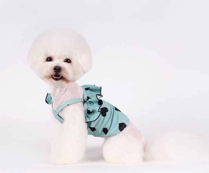 ハートビーチウェア S ~ XL 2color  /  犬服 夏 犬 ビキニ ドッグウェア 可愛い 犬の服 ペット ラッシュガード