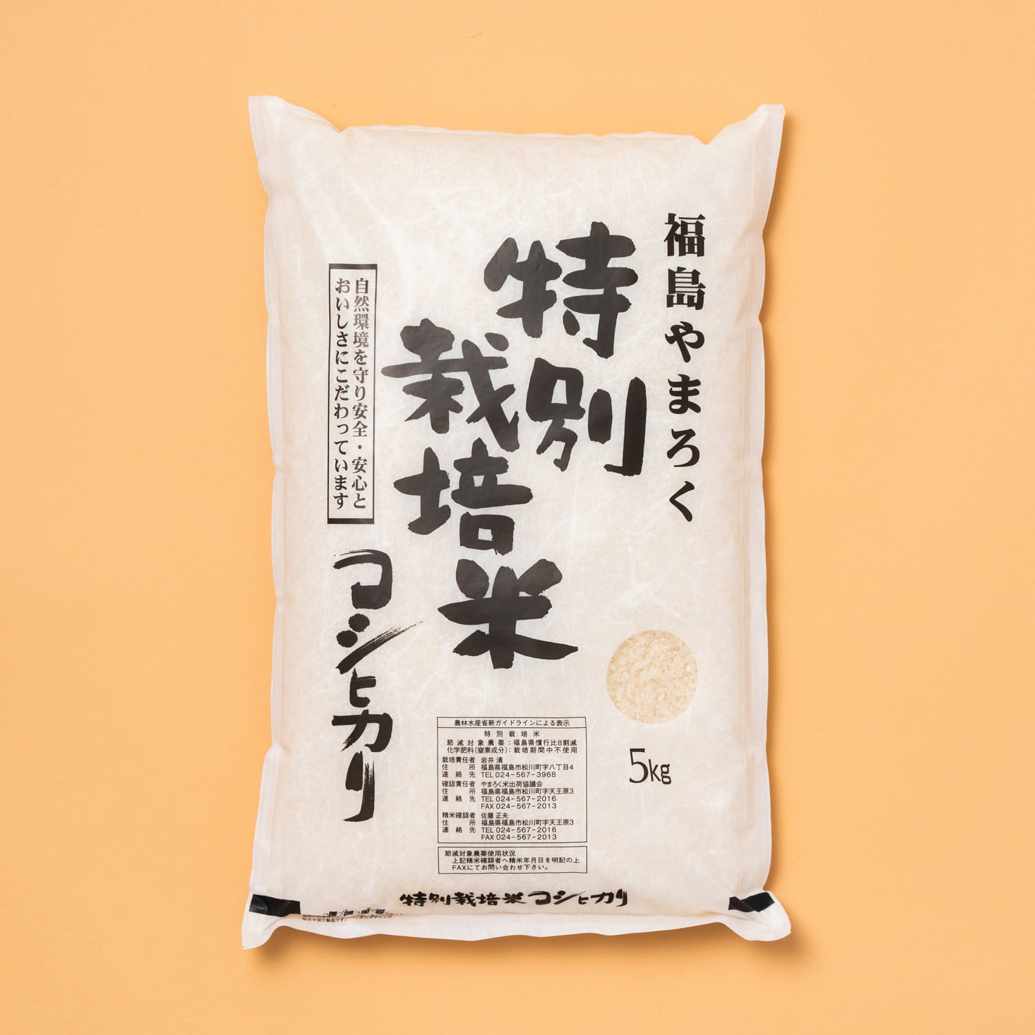 令和3年産　コシヒカリ30kg　玄米　福島県米/穀物