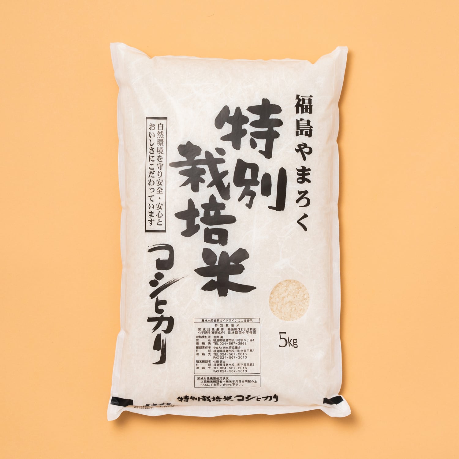精米】5kg　やまろく商店　特別栽培米こしひかり（令和5年　福島県産）