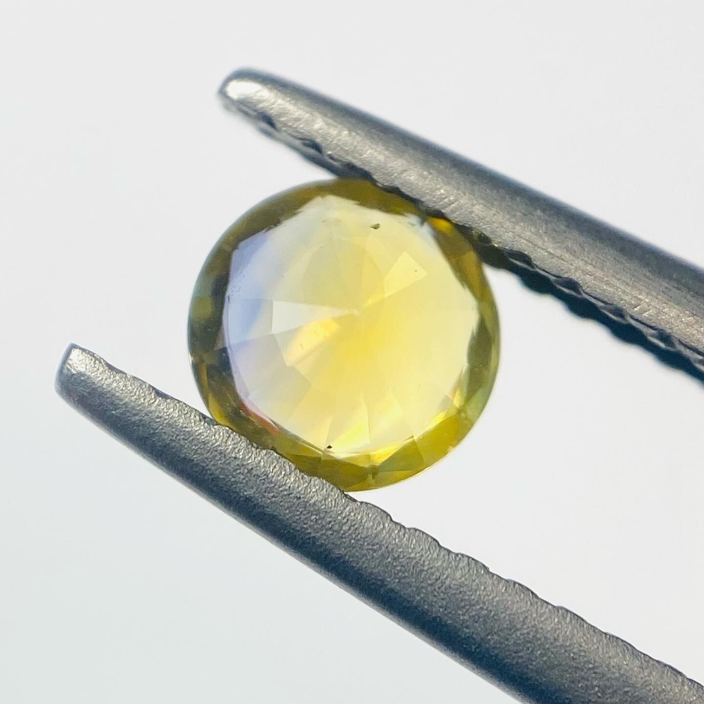 菜の花に青空　サファイア