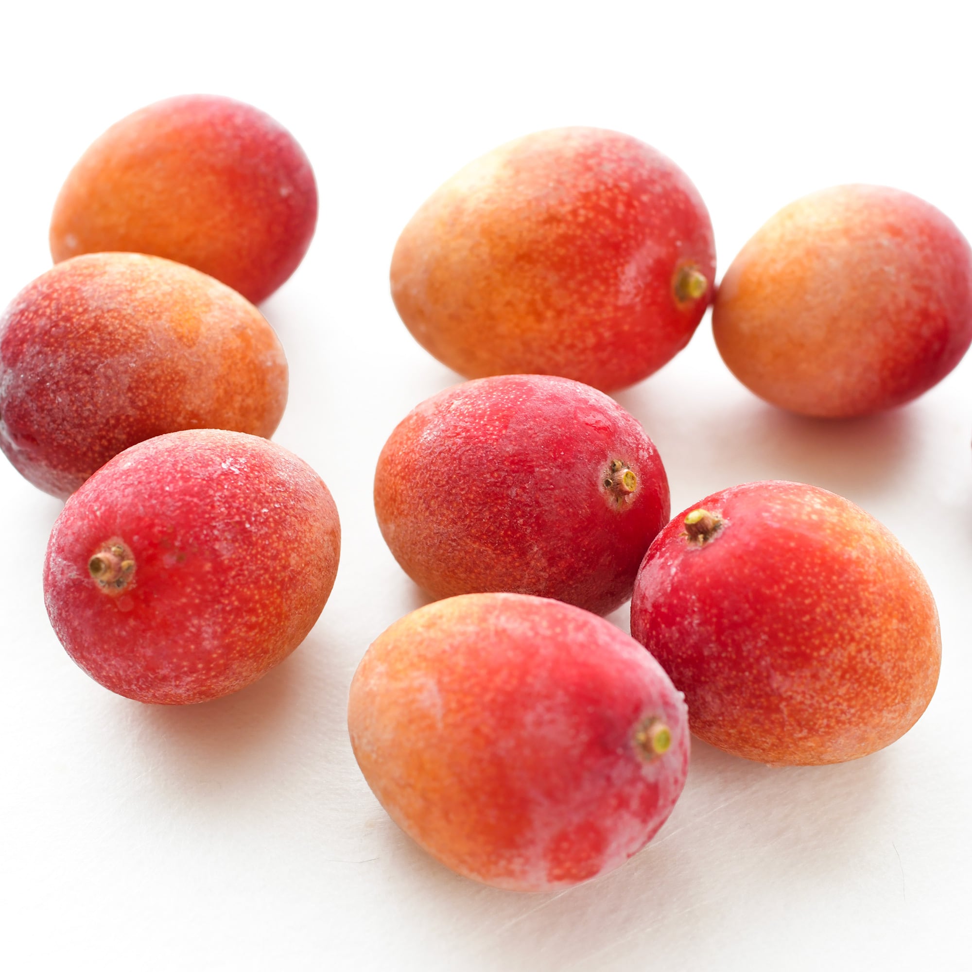 限定SALE！【冷凍完熟ミニマンゴー】500g | ふじえだ完熟マンゴー