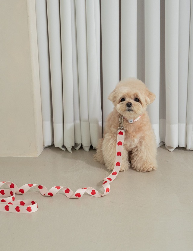 即納【ounce】heart bongbong 首輪《ホワイト》