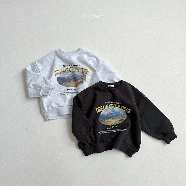 digreen：dream mtm