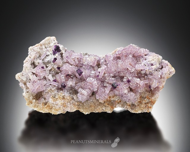 フローロアパタイト【Fluorapatite】アフガニスタン産