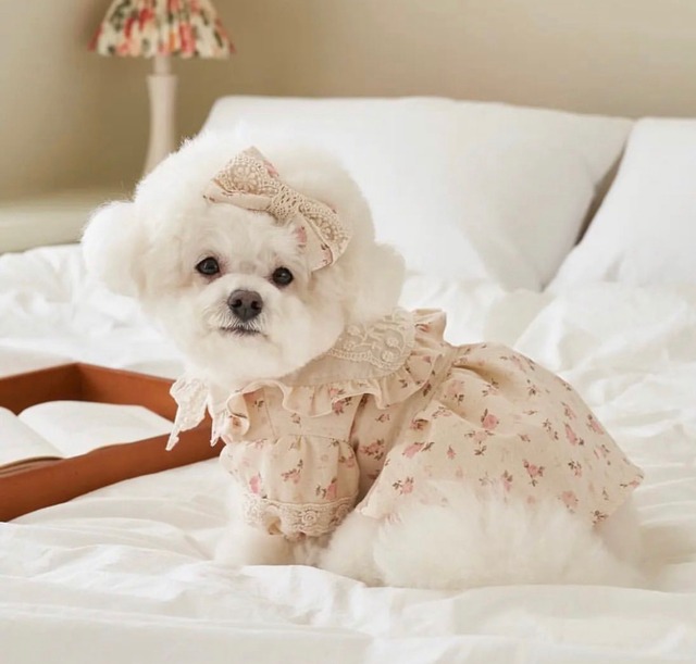 予約販売　ワンピース　coral blossom ops　　韓国犬服　soso boutique