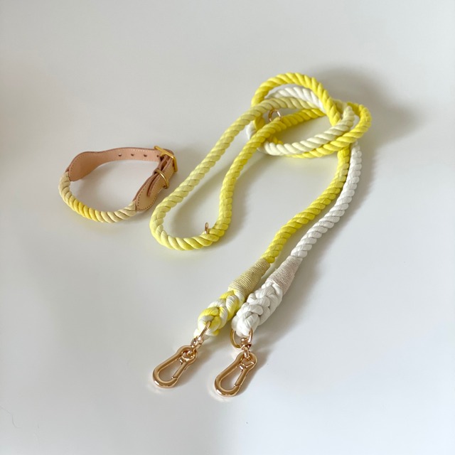 グラデーションロープリードSET(パワーイエロー)