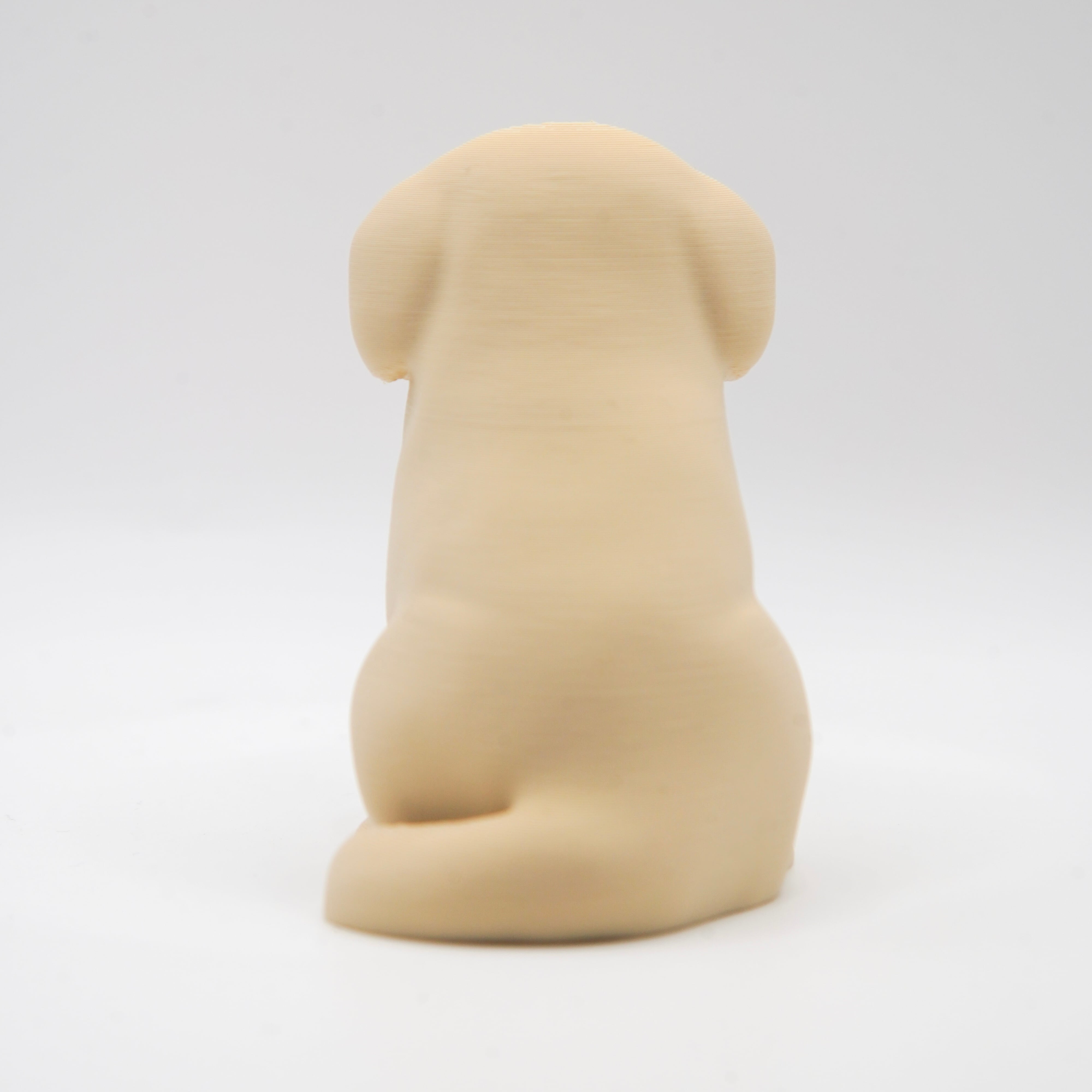 ゴールデンレトリバー Sサイズ(3cm) | BENOBI bros.