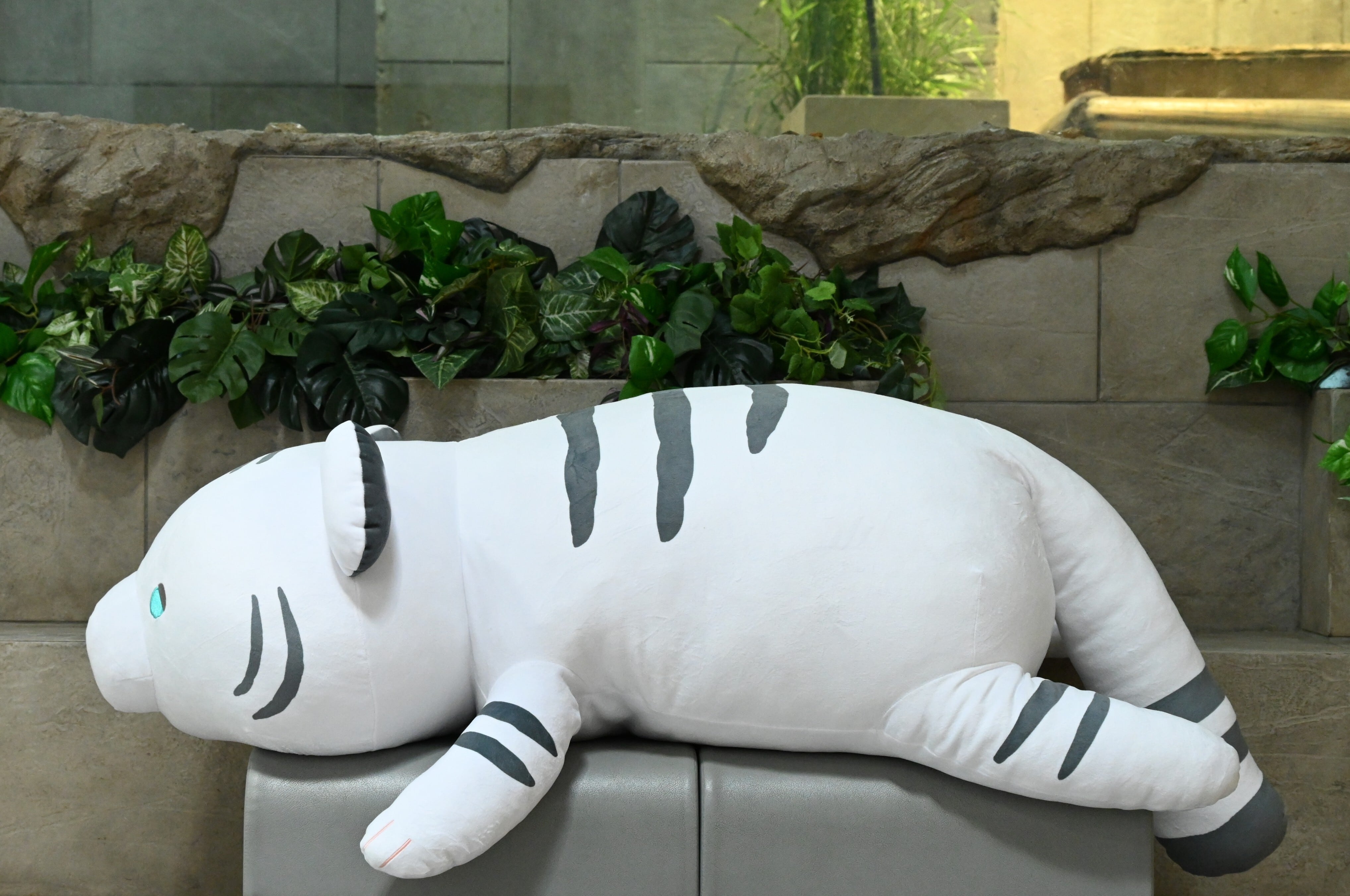 【ニフレル10周年記念！数量限定】おねむクッション　ホワイトタイガー(3XLサイズ)