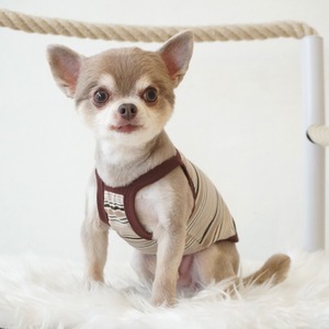 multi border camitank　olive