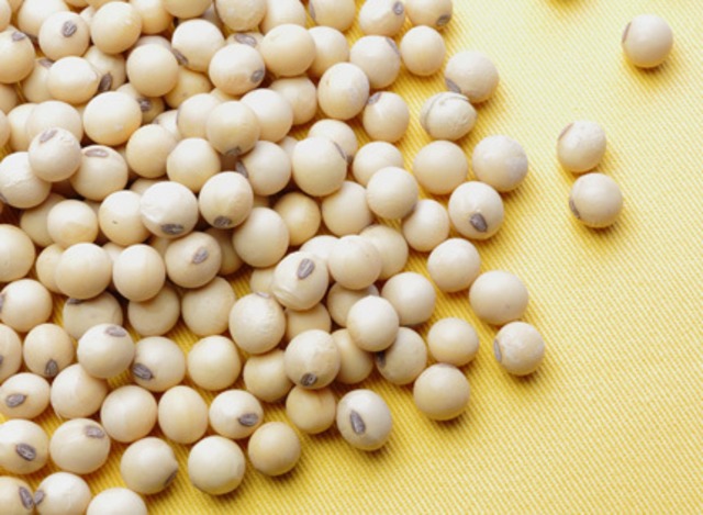 JA上士幌町　大豆(生豆)500g　※2024年産