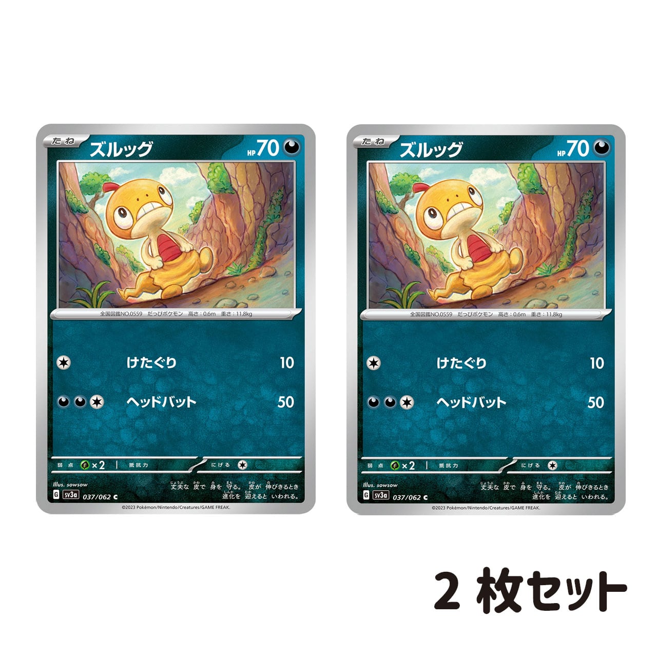 ズルッグ C SV3a 037/075 2枚セット | ポケモンカード専門店