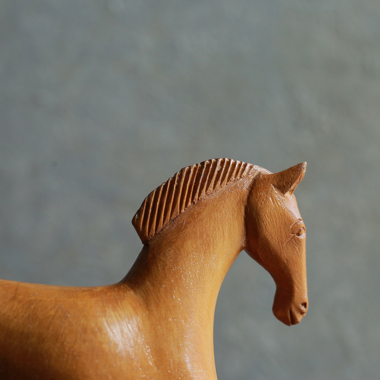 静かに微笑む、軽やかな馬