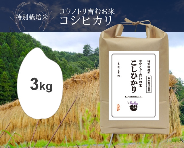 3kg コウノトリ育むお米 こしひかり