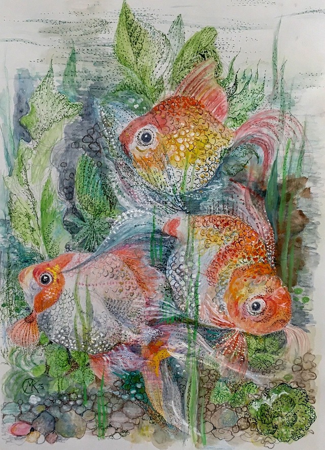 三匹の金魚