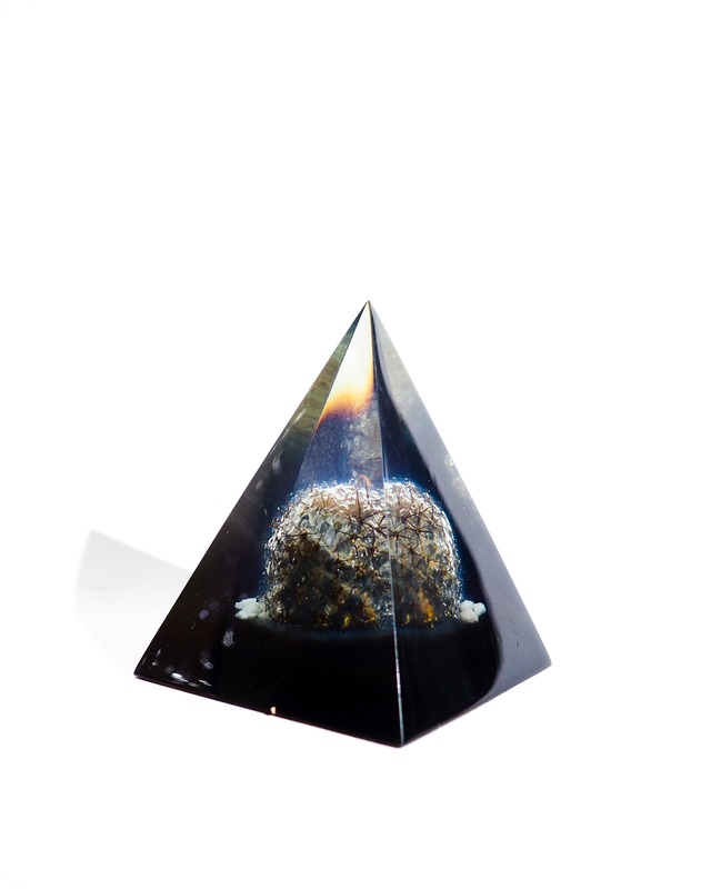 Cactus pyramid-shaped object, paperweight