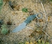 Ringknife