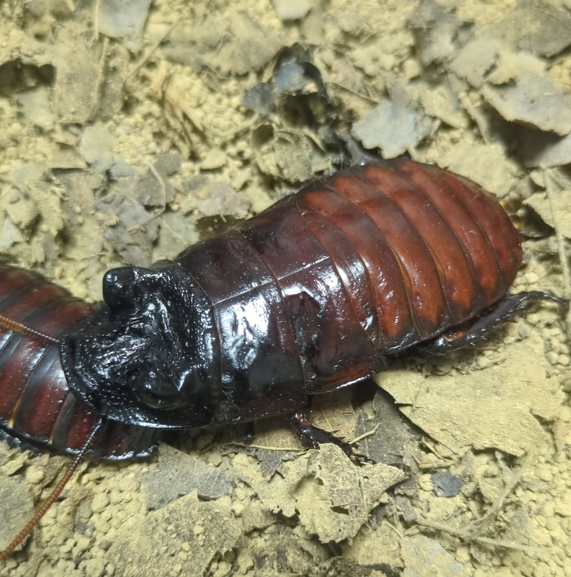 1934dcc5bed5cefdb34ceb4cbeee9e