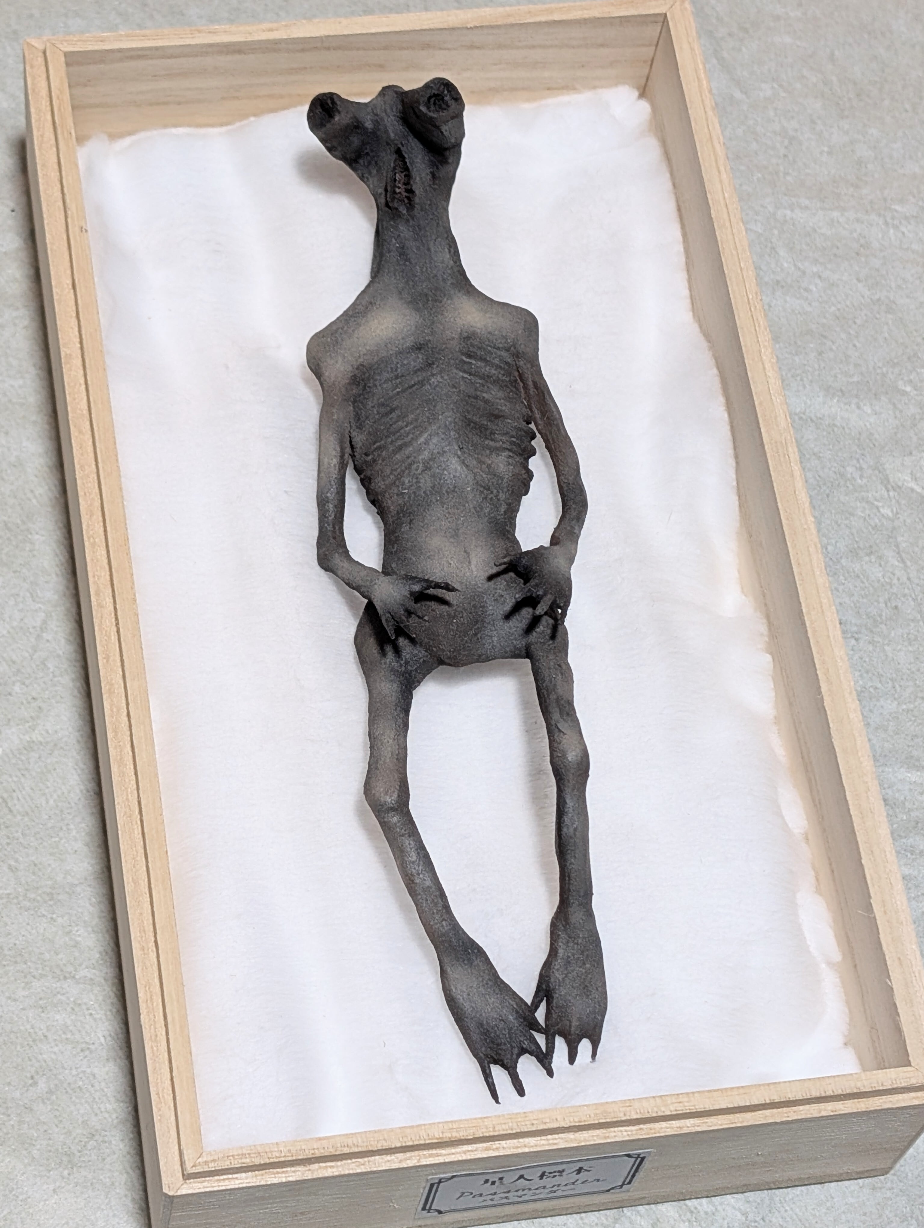 永野蟲 NN-00 寄生型怪奇蟲 怪奇標本 イ―502 | Pay ID