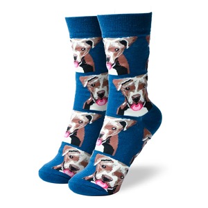 Pit bull crew socks ピットブル ソックス