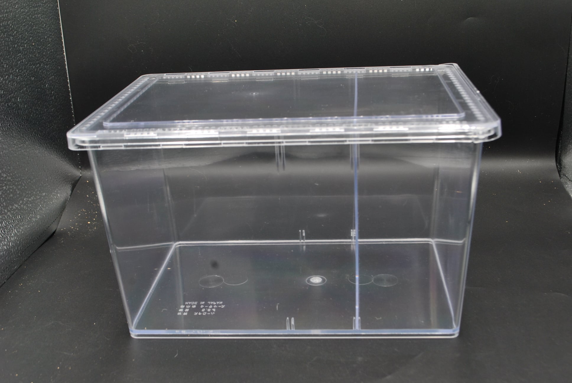 ケース | クワガタムシ・カブトムシ専門ショップ CIEL