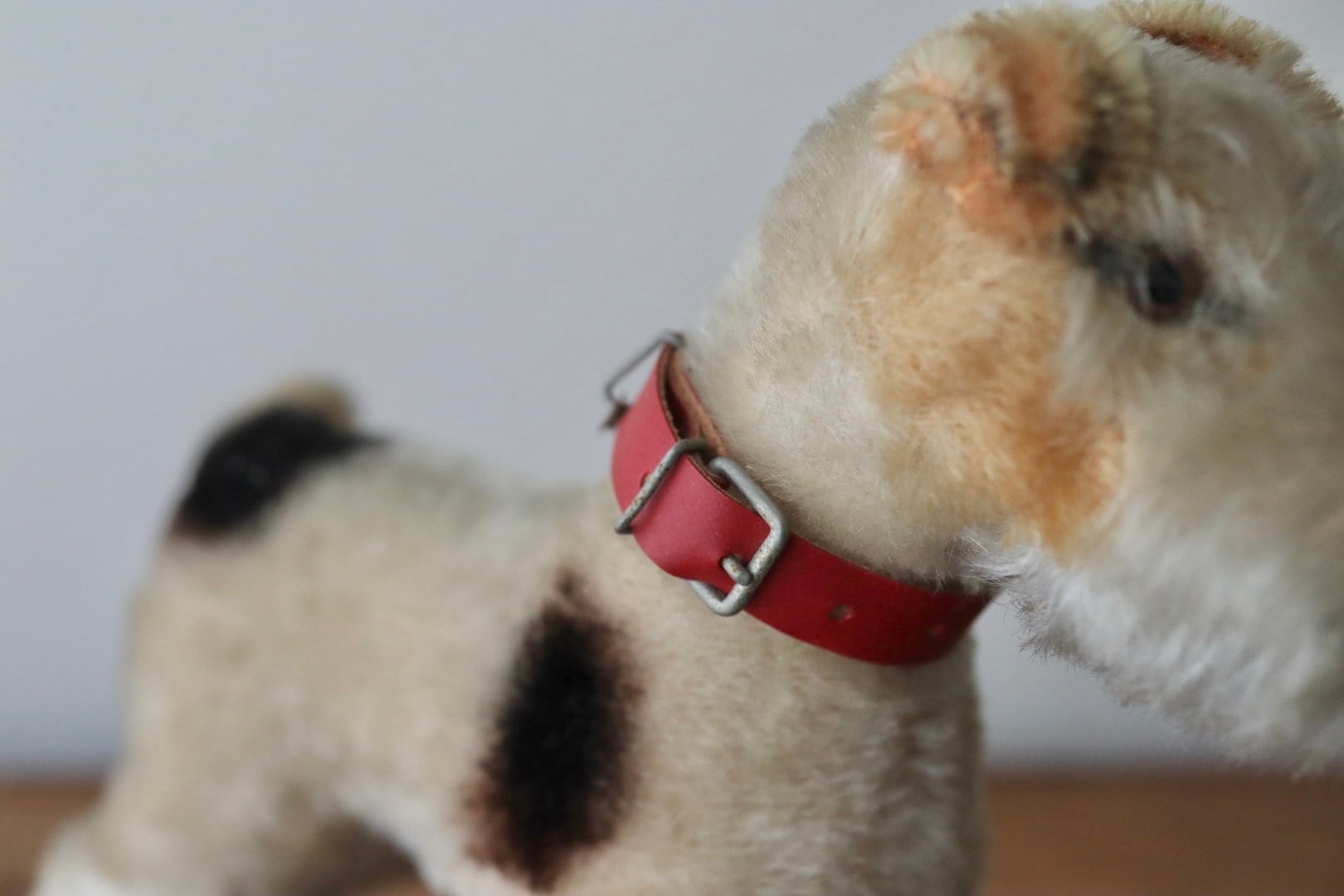 アンティーク シュタイフ 犬 ワイヤーフォックステリア Foxy 17㎝