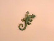 C004 | ペールバニラ A3