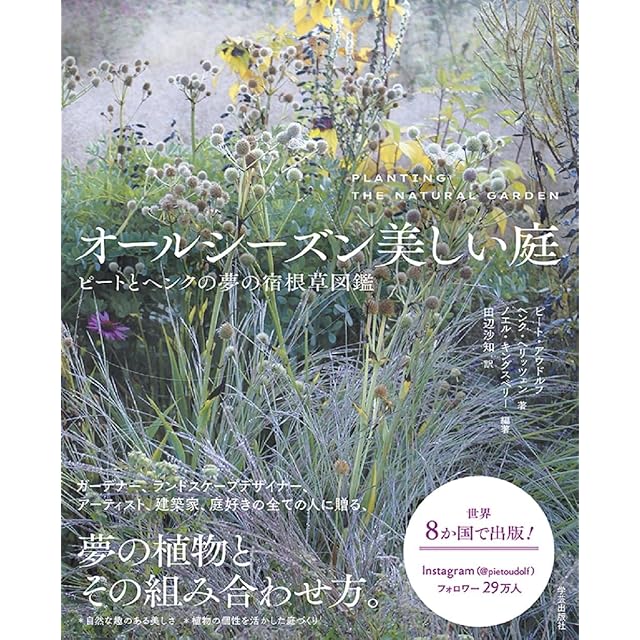 日本の野生植物 木本Ⅰ | PAY ID