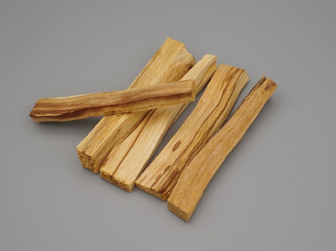 Fragrant Caudex Series 03 / Palo Santo(パロサント) - 2