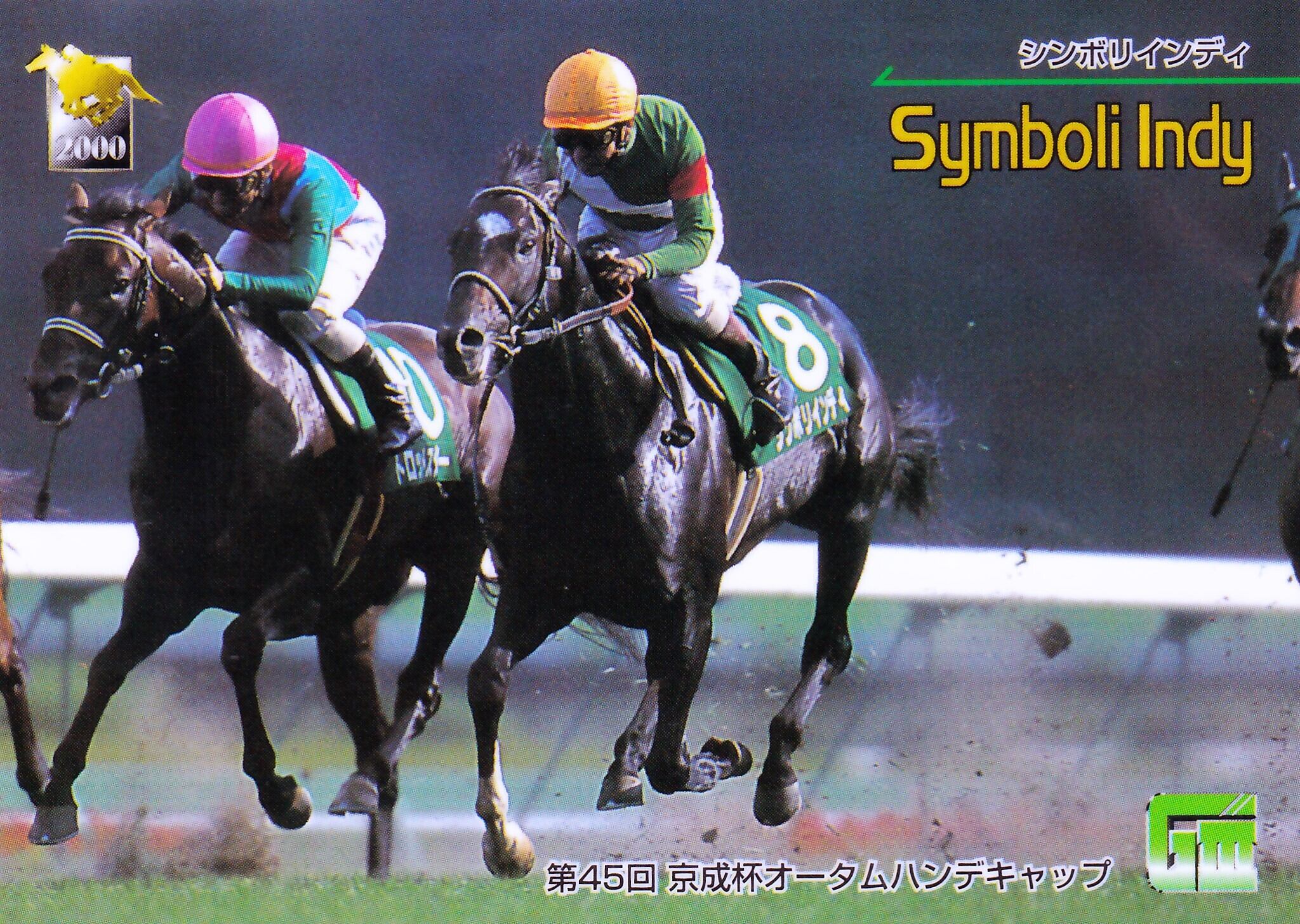 サイレンススズカ：第64回 日本ダービー出走馬「サラブレッドカード 97