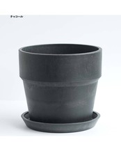 【セットA 巨大株 5種】キャシーズ／マディバ／エボニー 他 ＋ アーバンプランツポット