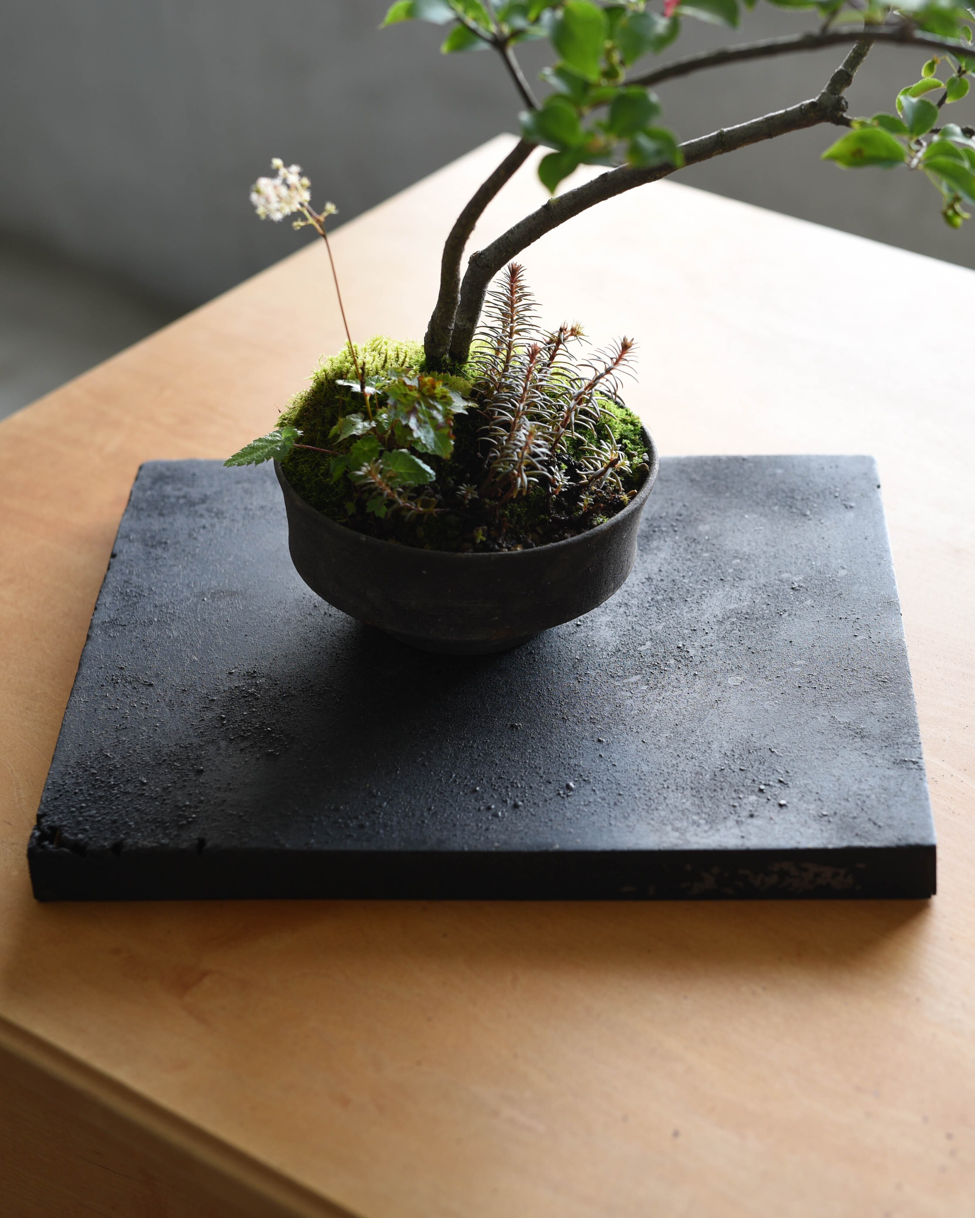 大山求 Motomu Oyama|17 Tableau ABCD