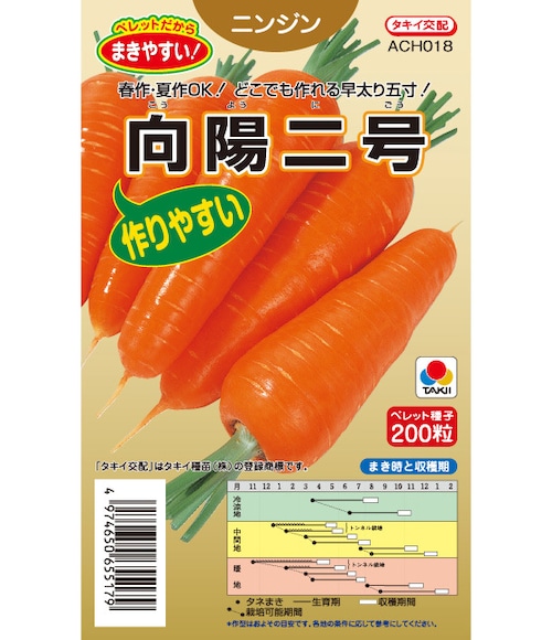 ニンジン「向陽二号」（P700粒） 画像