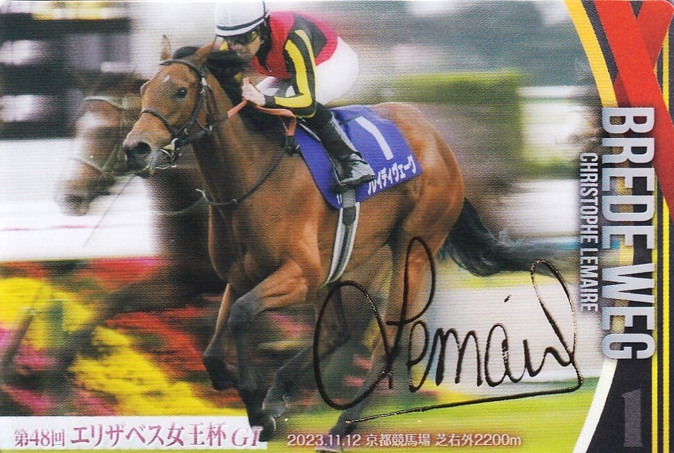 金箔サイン入)ブレイディヴェーグ：第48回 エリザベス女王杯