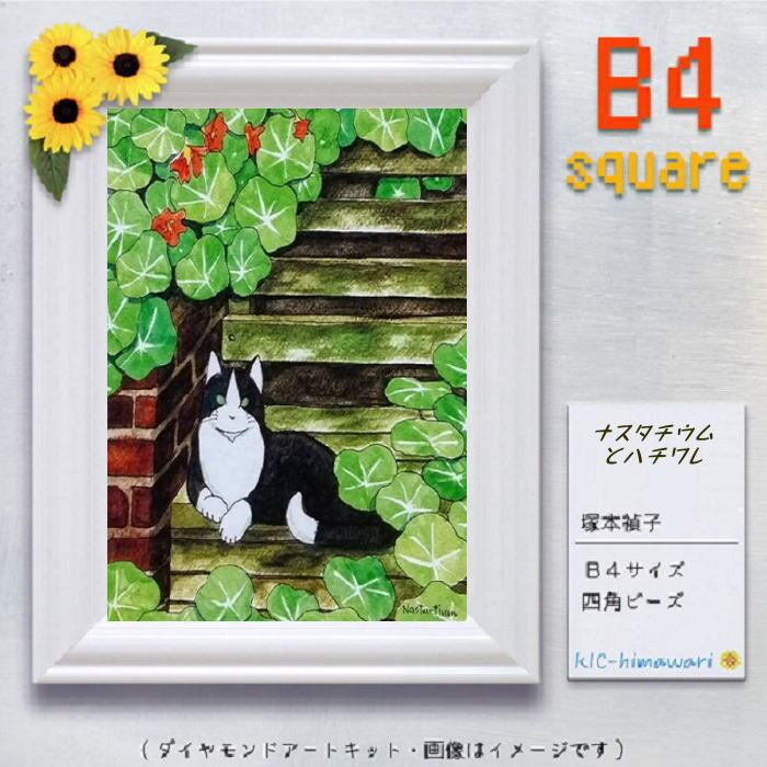 China】tei-075 B4 四角 ナスタチウムとハチワレ 塚本禎子の