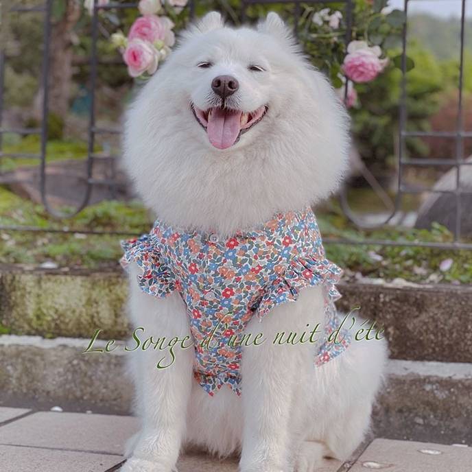 受注生産 3XL~6XL 細かい花柄と袖のフリルが可愛い 涼しげなお出かけ服