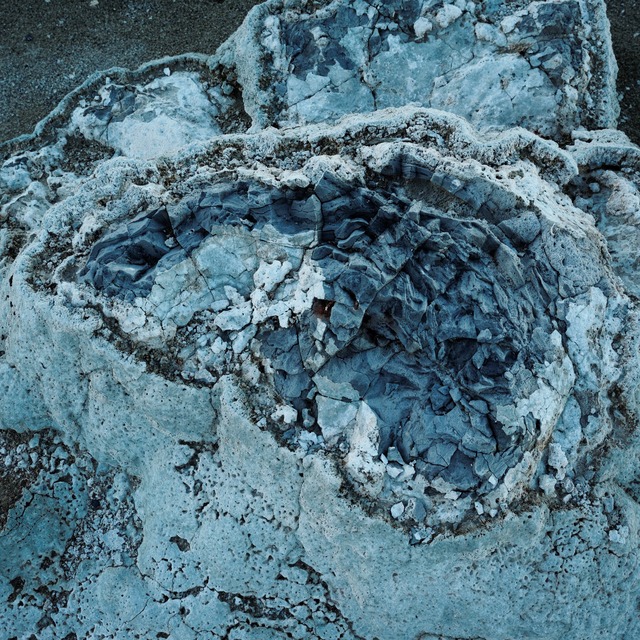 Cross section of Tufa ＃MonoLake