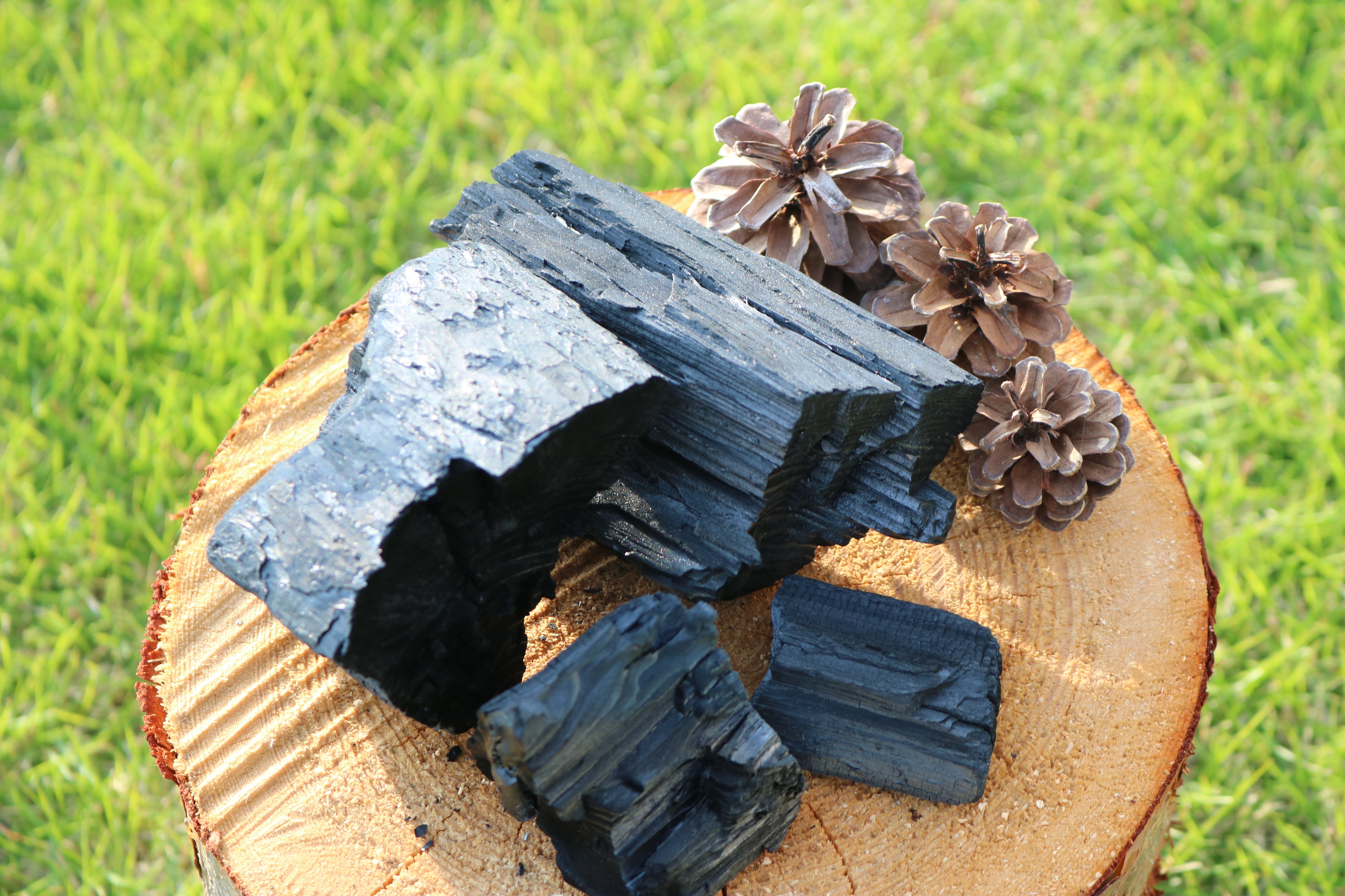 信州伊那産】赤松炭（固形） | つなぐ里山 オンラインストア