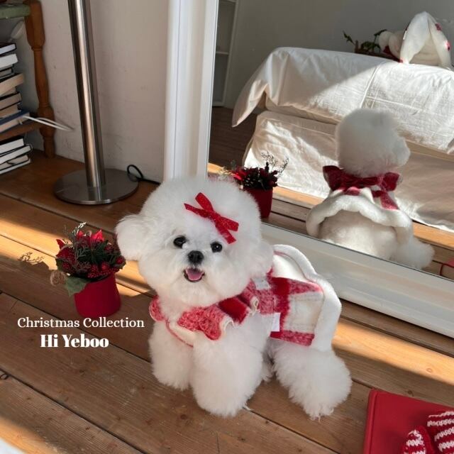 HI-YEBOO Merry Overall OPS (Include Ribbon Brooch) main image 0