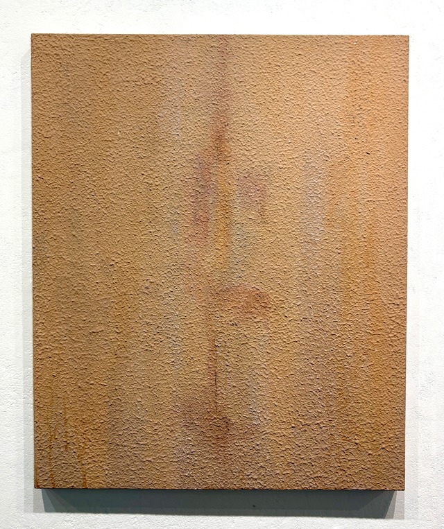新村葉月　trace 24F15_3