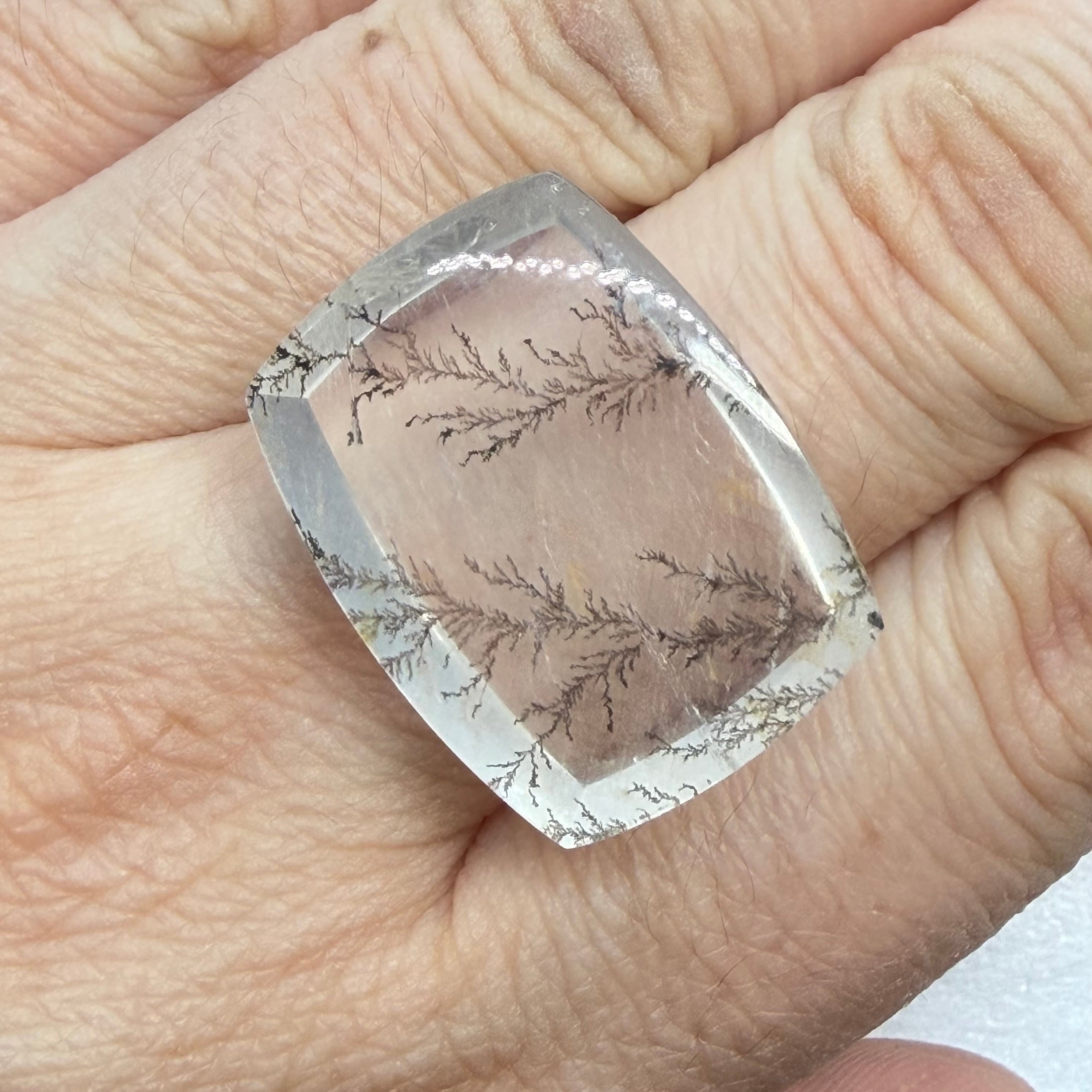 冬景色　デンドリティッククオーツ2