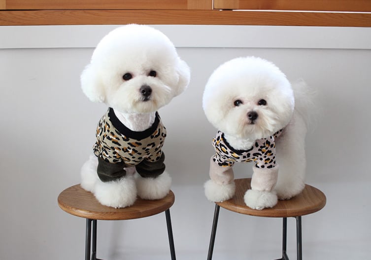 ヒョウ柄トップス S ~ XL 2color / 犬服 秋冬 新作 可愛い 暖かい ドッグウェア 長袖 Tシャツ 犬 服 お揃い 小型犬 中型犬 top102