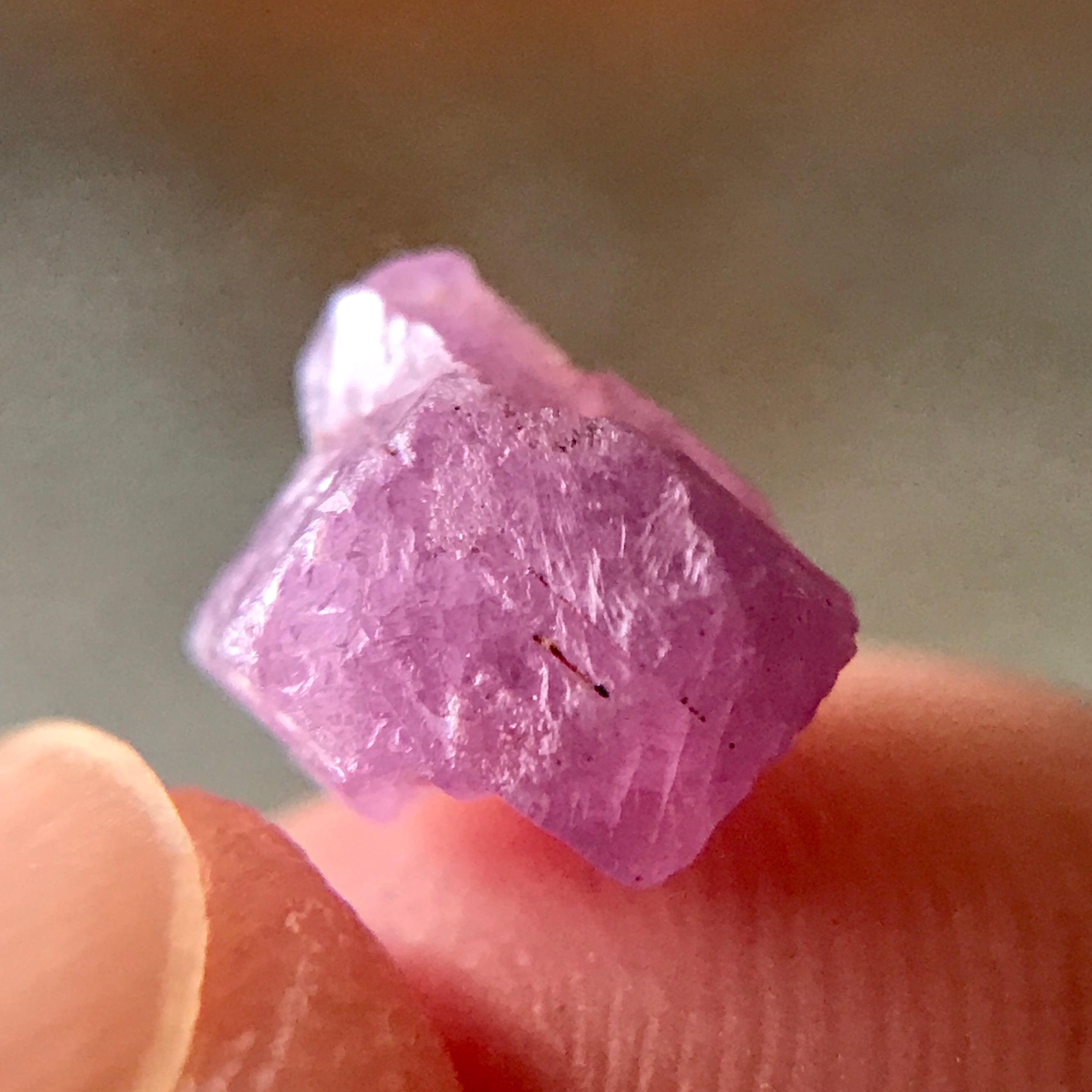 天然 未処理 ルビー 1.95ct 非加熱 天然ルビー 原石 モザンビーク 